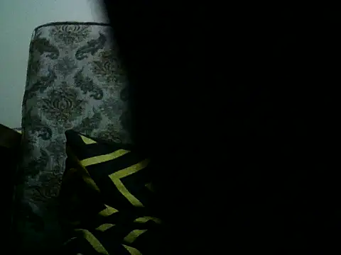 Snapshot of DhakaBabe chatting on November 30, 4:52 pm DhakaBabe online show from November 30, 4:52 pm