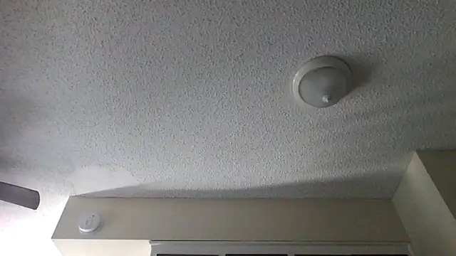 Snapshot of Nolove316 chatting on March 26, 5:55 pm Nolove316 online show from March 26, 5:55 pm