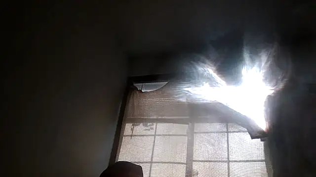 Snapshot of Nolove316 chatting on February 16, 4:16 pm Nolove316 online show from February 16, 4:16 pm