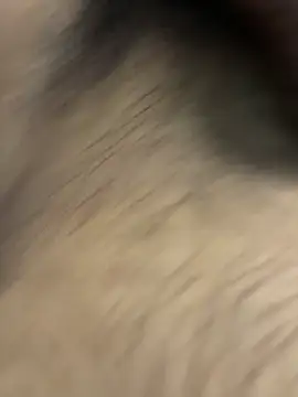 jackey3193 online show from April 12, 1:25 pm