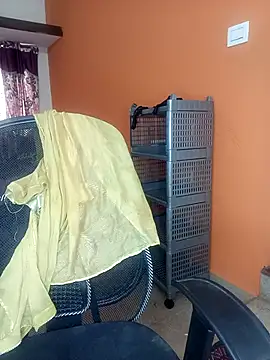 Chadni kannada online show from October 25, 4:33 am