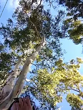 M4tute online show from April 17, 7:49 pm