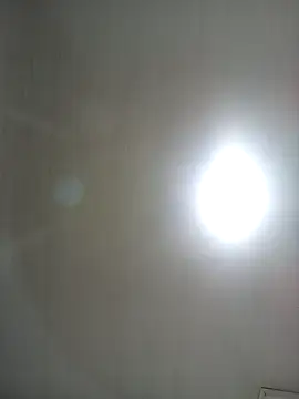 amelie sex online show from December 13, 11:00 pm