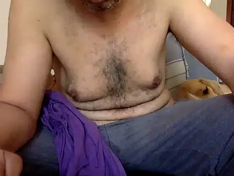 Snapshot of CaiBull chatting on November 21, 8:57 am CaiBull online show from November 21, 8:57 am