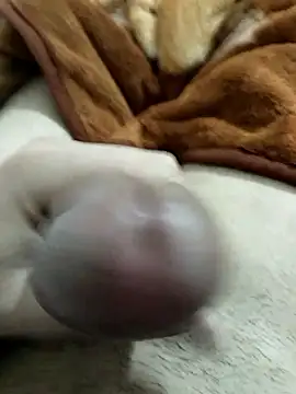 Zepe 12 online show from January 8, 5:19 pm