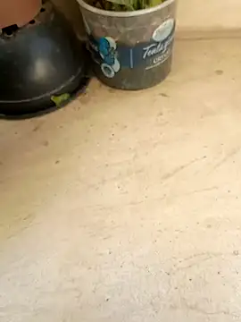 Jogandor777 online show from September 11, 1:33 pm