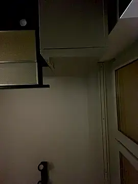 MikeFake online show from January 10, 3:35 am