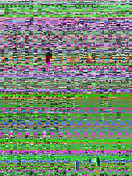Snapshot of YOOUR_EVAA chatting on July 8, 9:10 am YOOUR EVAA online show from July 8, 9:10 am
