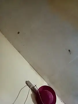 RandalHot online show from November 27, 9:37 pm