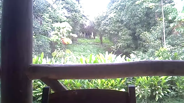 Blue Liz online show from November 10, 2:44 pm