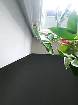 Czarnoksieznik online show from November 2, 12:10 pm