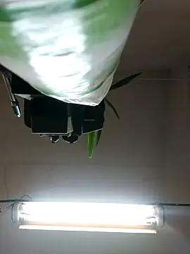 Czarnoksieznik online show from October 27, 4:52 pm