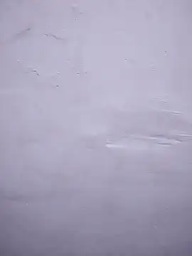 amolicars online show from October 24, 7:35 pm