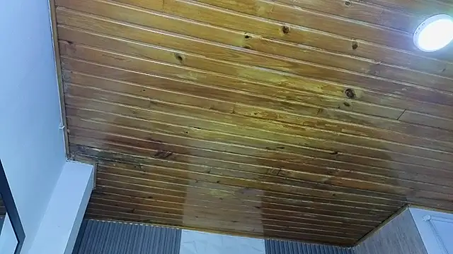 Bonnali lune online show from April 19, 4:46 am