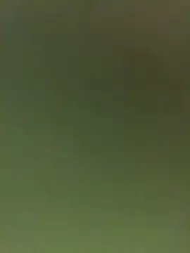 JuanitaMore01 online show from February 16, 9:56 pm