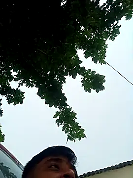 Raju fuckerr online show from November 2, 8:30 am