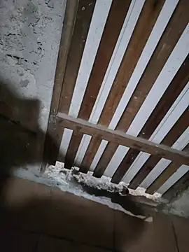 011Nort online show from November 11, 4:46 pm