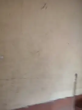 sanu 07 online show from January 15, 5:22 am