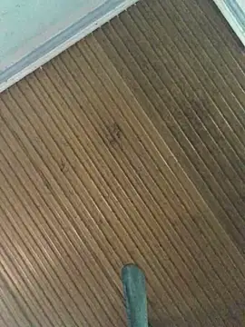 Snapshot of themchichnhau123 chatting on November 19, 4:23 am themchichnhau123 online show from November 19, 4:23 am