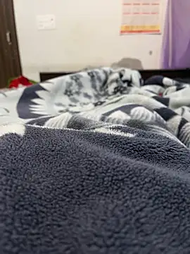 jackyw online show from November 4, 11:58 am