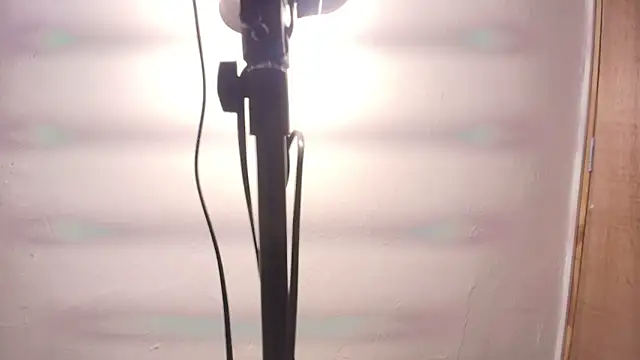 Terraelowen online show from February 25, 11:32 am