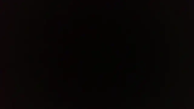 Terraelowen online show from April 9, 1:17 pm