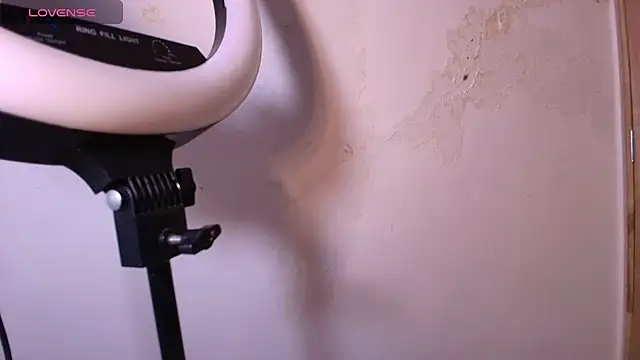 Snapshot of Terraelowen chatting on November 29, 11:32 am Terraelowen online show from November 29, 11:32 am