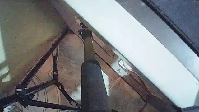 Terraelowen online show from March 24, 1:11 pm