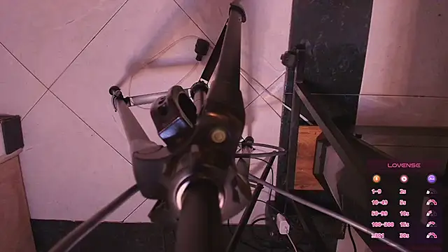 Snapshot of Terraelowen chatting on November 4, 11:25 am Terraelowen online show from November 4, 11:25 am