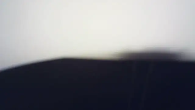 Terraelowen online show from March 21, 1:26 pm