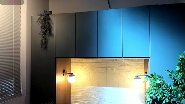 nicktorn online show from November 19, 12:05 pm