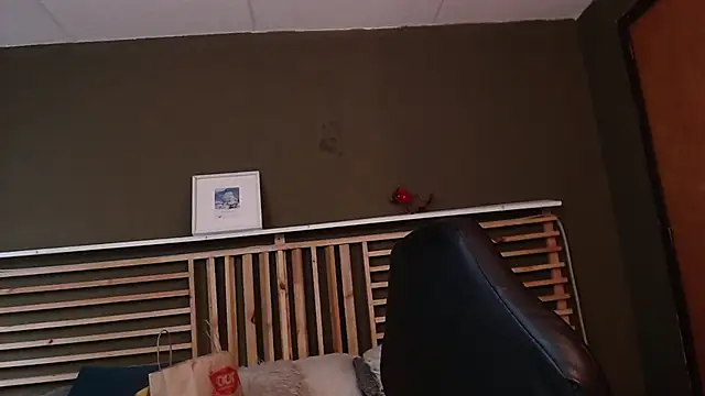 PaulEvens online show from November 15, 1:15 pm