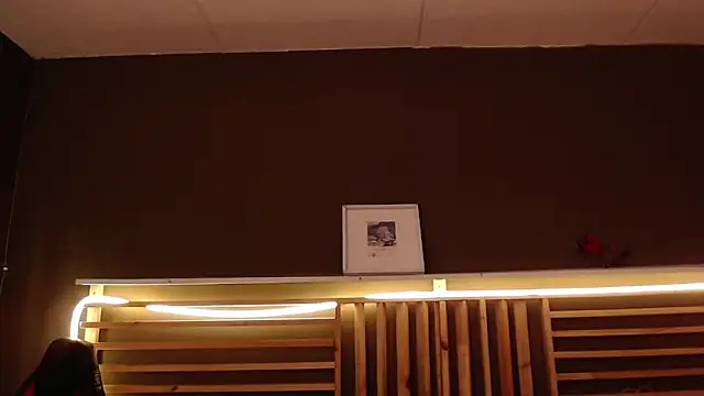 PaulEvens online show from November 12, 1:26 pm