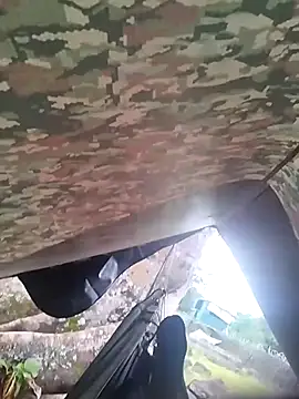 Snapshot of Alabestia12 chatting on November 5, 9:18 pm Alabestia12 online show from November 5, 9:18 pm