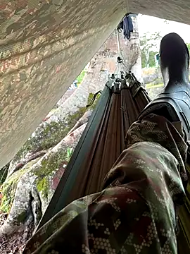 Snapshot of Alabestia12 chatting on November 11, 11:27 am Alabestia12 online show from November 11, 11:27 am