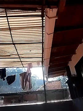 solpeich online show from March 20, 1:01 pm