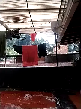 solpeich online show from October 31, 3:08 pm