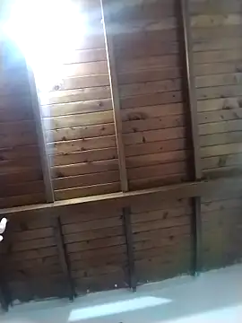 solpeich online show from February 28, 1:33 pm