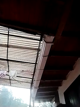 solpeich online show from March 6, 1:06 pm