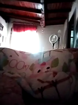 solpeich online show from November 6, 1:37 pm