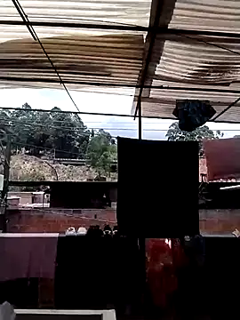 solpeich online show from April 4, 5:30 pm