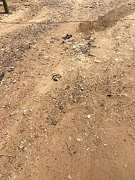 Jaydemasked online show from November 26, 11:10 am