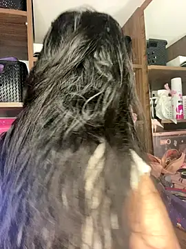 Sophi dee1 online show from November 3, 10:13 pm