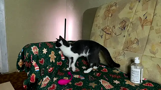 Marinpeach online show from February 23, 3:12 pm