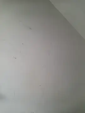 iamlalamilano online show from March 29, 3:02 pm