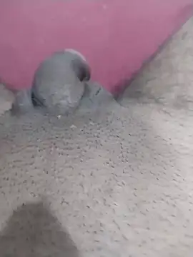 motoboytkbh online show from April 9, 8:04 pm