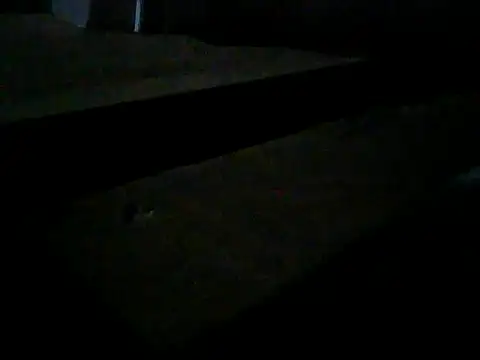 Master2000K online show from February 28, 11:15 pm