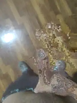 rayane7xx online show from November 28, 3:23 pm