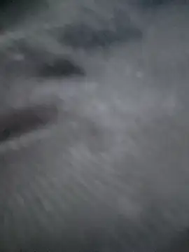 Ruhi 07 online show from January 11, 4:30 am