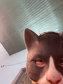 Rose 194 online show from April 10, 2:07 am